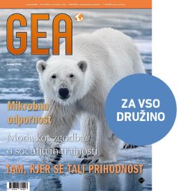GEA POLLETNA NAROČNINA