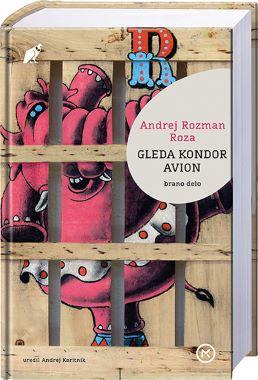 GLEDA KONDOR AVION