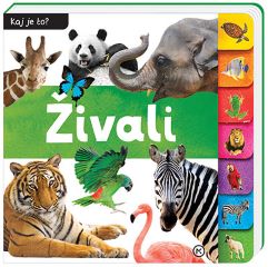 KAJ JE TO? ŽIVALI