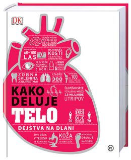 KAKO DELUJE TELO
