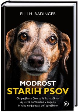 MODROST STARIH PSOV MODROST STARIH PSOV