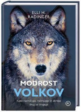 MODROST VOLKOV