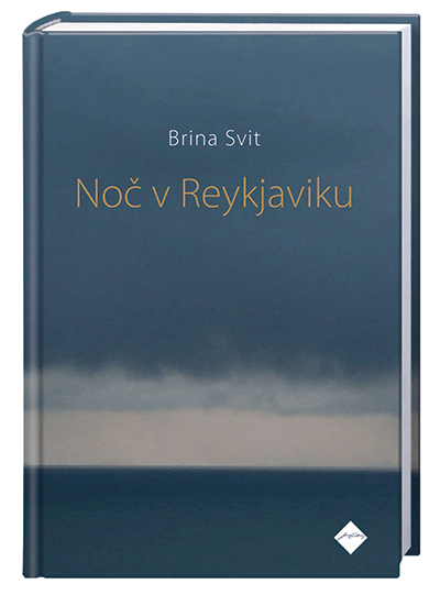 NOČ V REYKJAVIKU