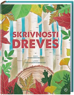 SKRIVNOSTI DREVES SKRIVNOSTI DREVES
